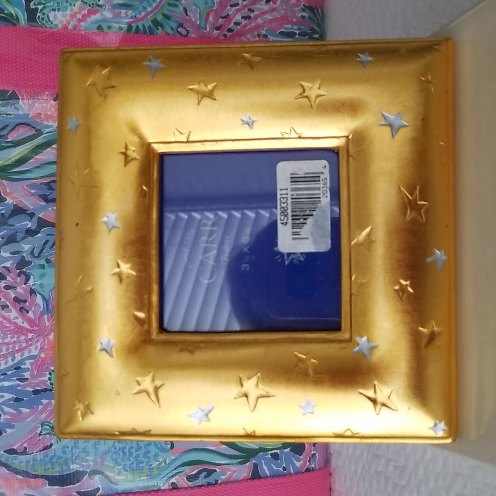 CARR Celestial Gold Picture Frame
